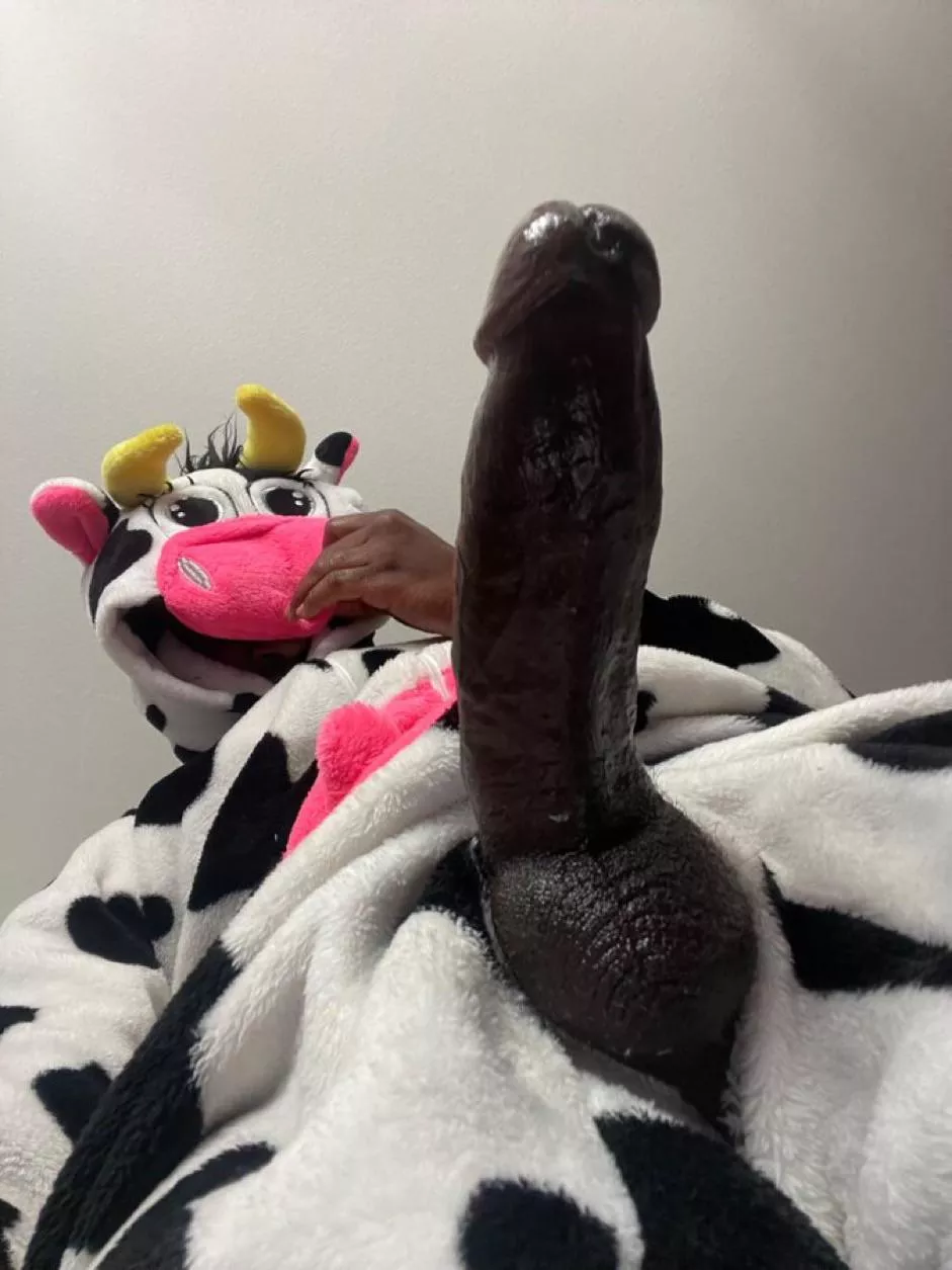 Dress up day at the gym [M]