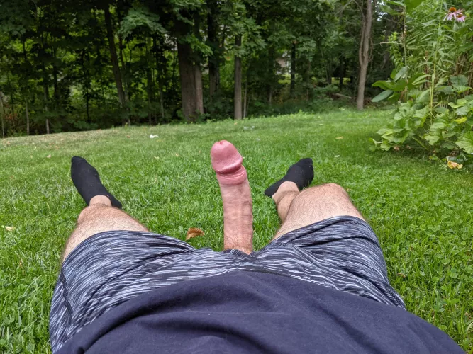 Finish our picnic with this treat