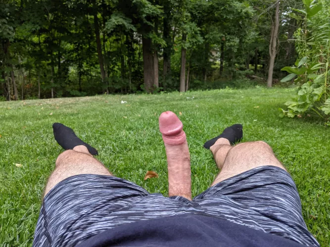 Finish our picnic with this treat