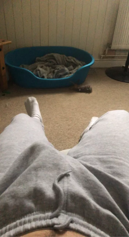 Losers have to PM me (young uncut)