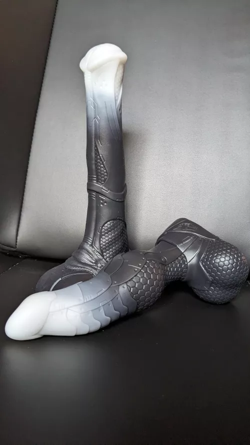 My New Bishop & Vector