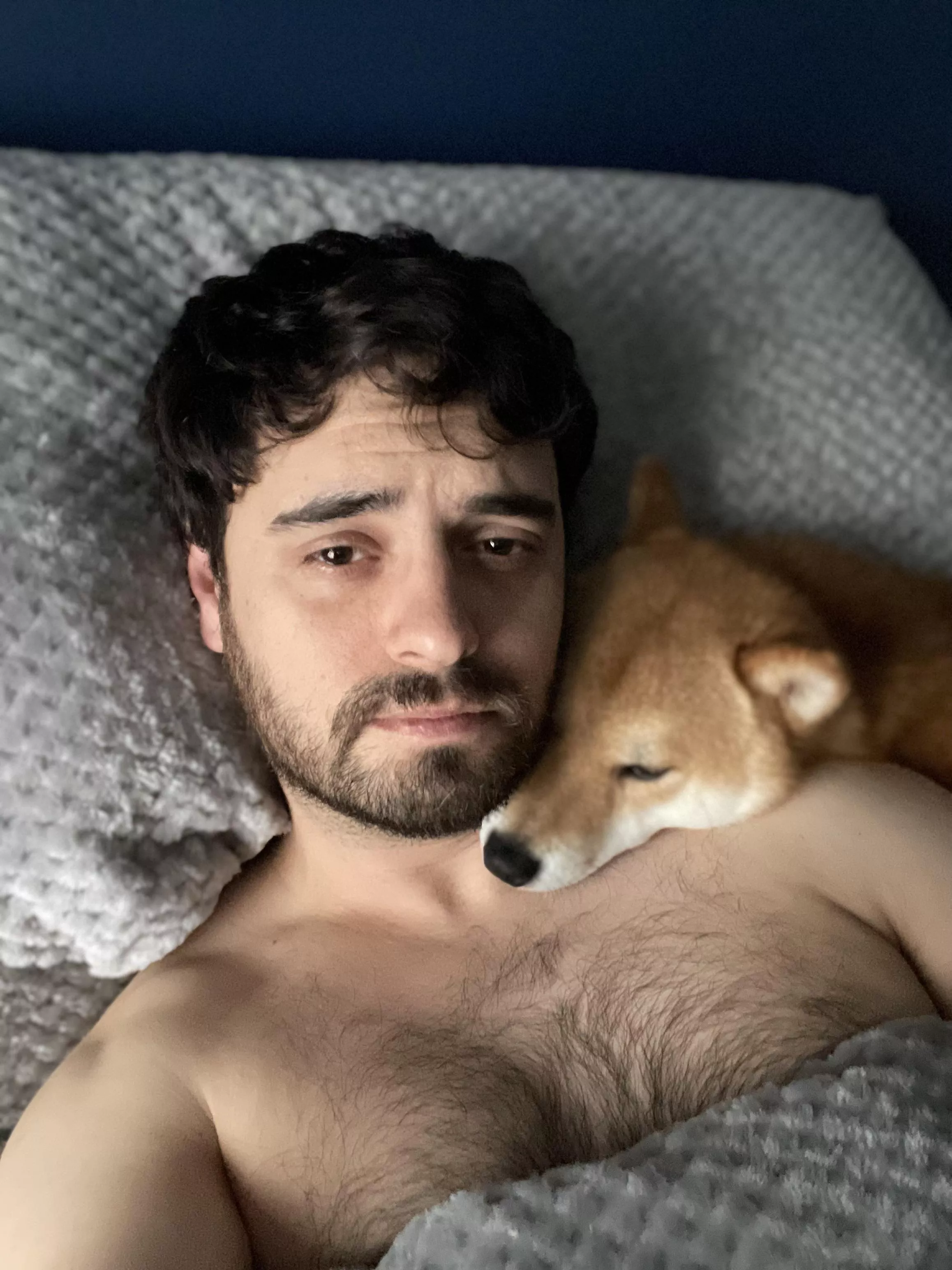 Shiba wake up call.