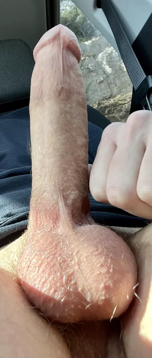 What do you think of my cock?