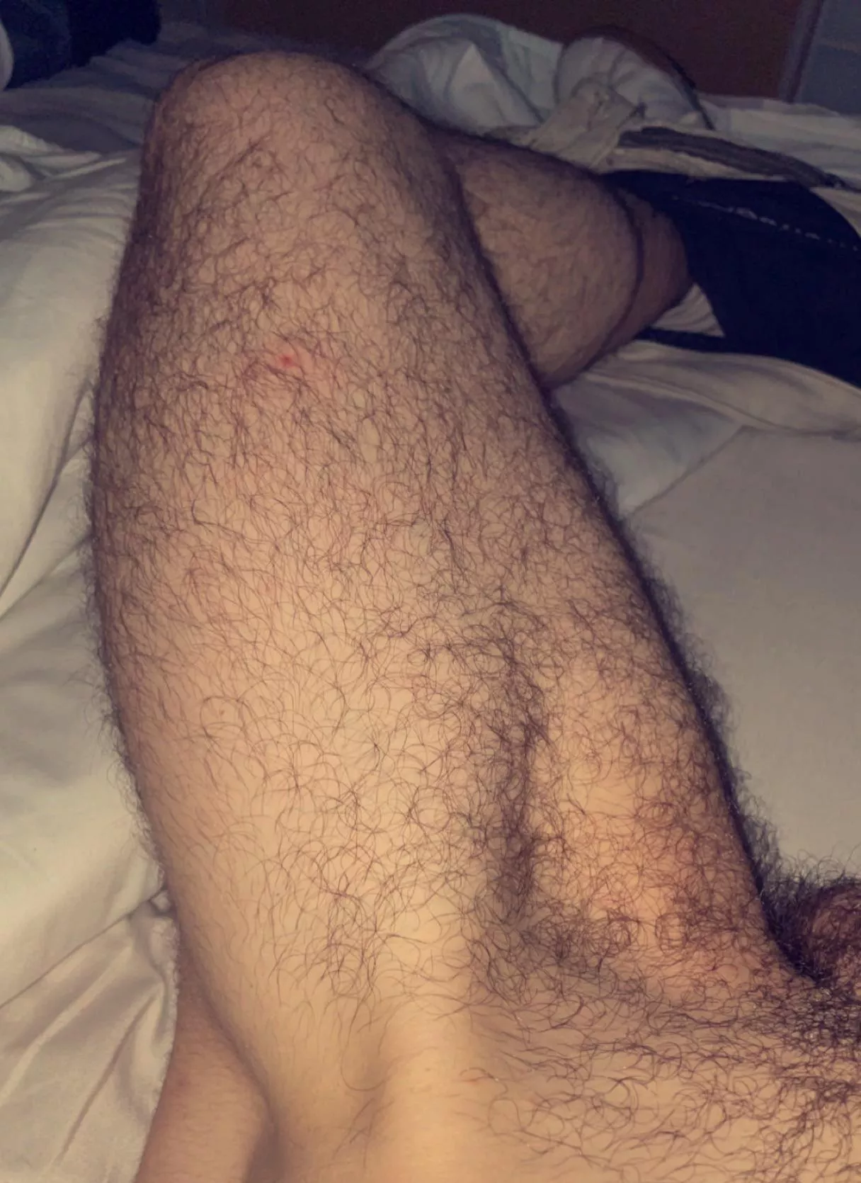 24 m , straight from Spain looking for bros to have some fun, add me: pablolotan