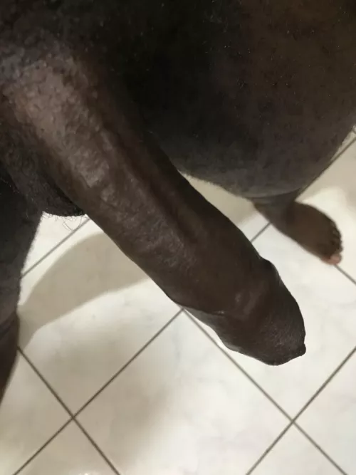 27 BBC looking for crossdressers and big booty bottoms