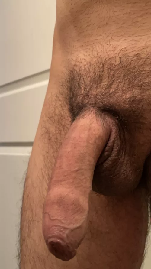 [33] Pre-shower
