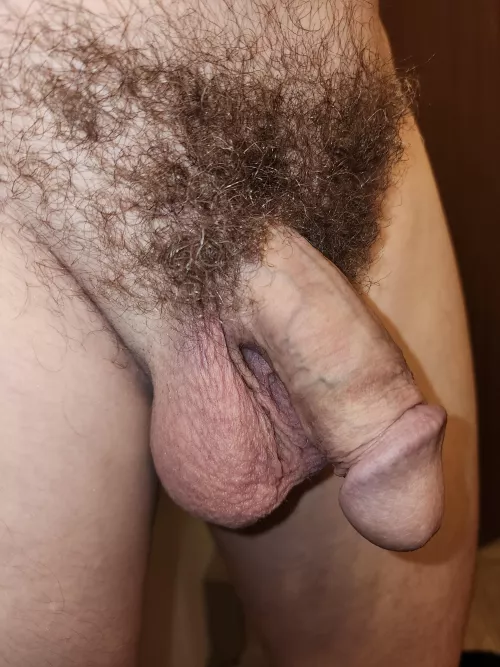 Always rocking the bush