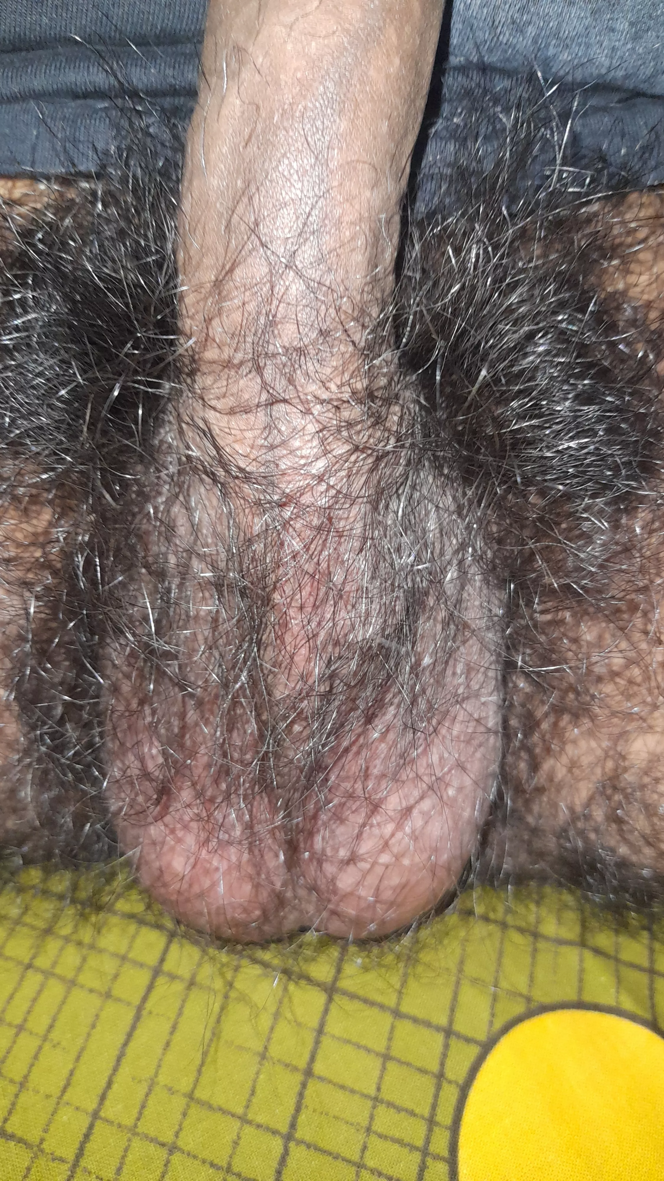 balls hiding in bush