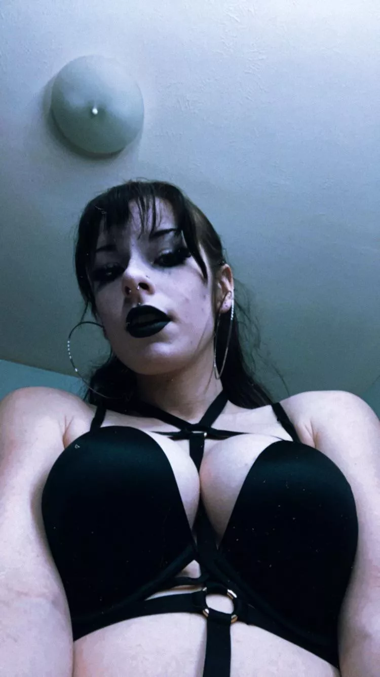 bra can barely contain them 🖤