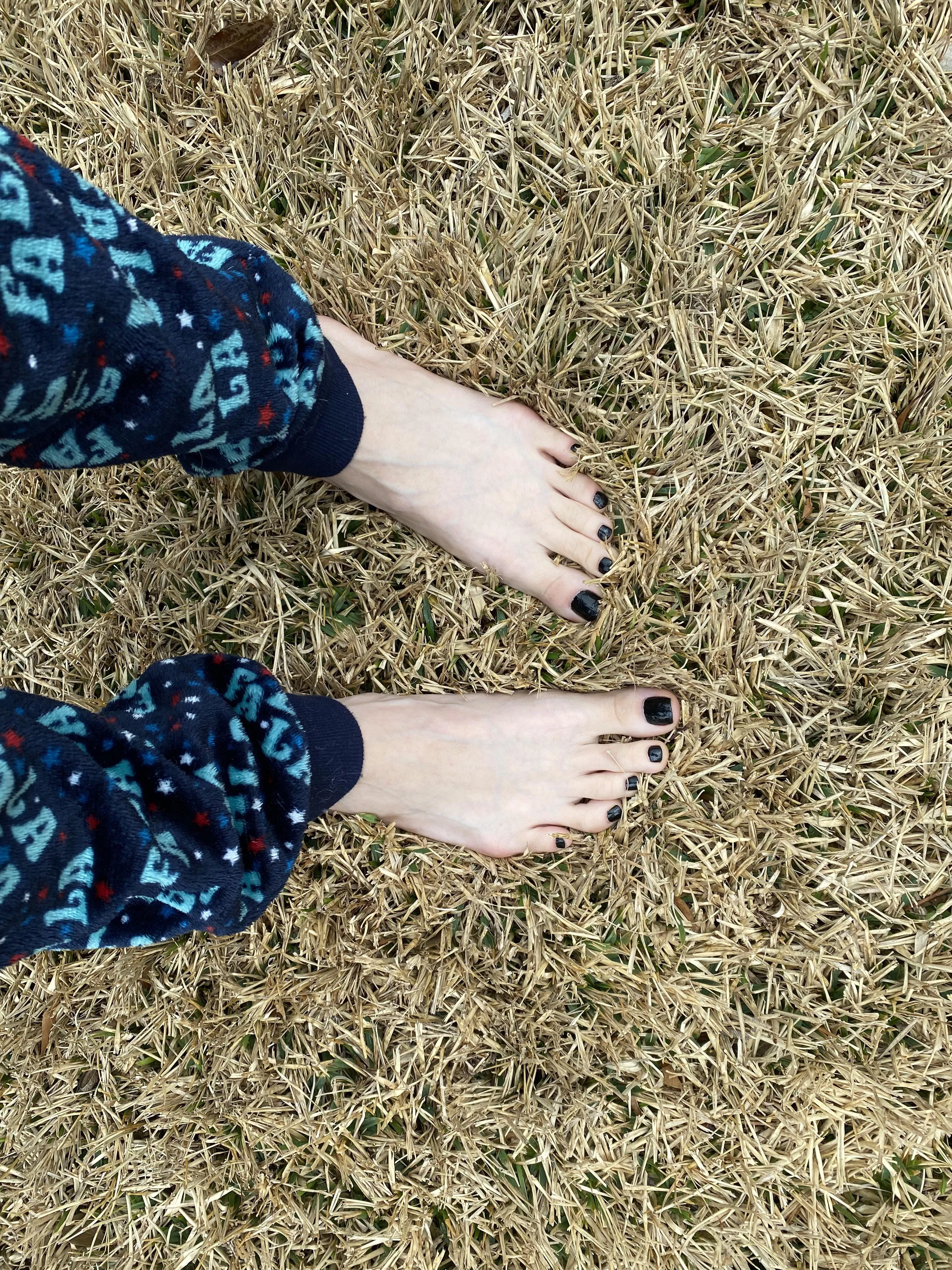 Cold days make for great walks in the grass 🥰 (OC)