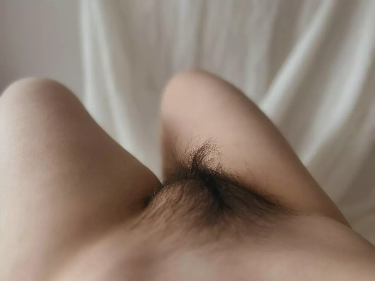 Do you like my miniature bush?