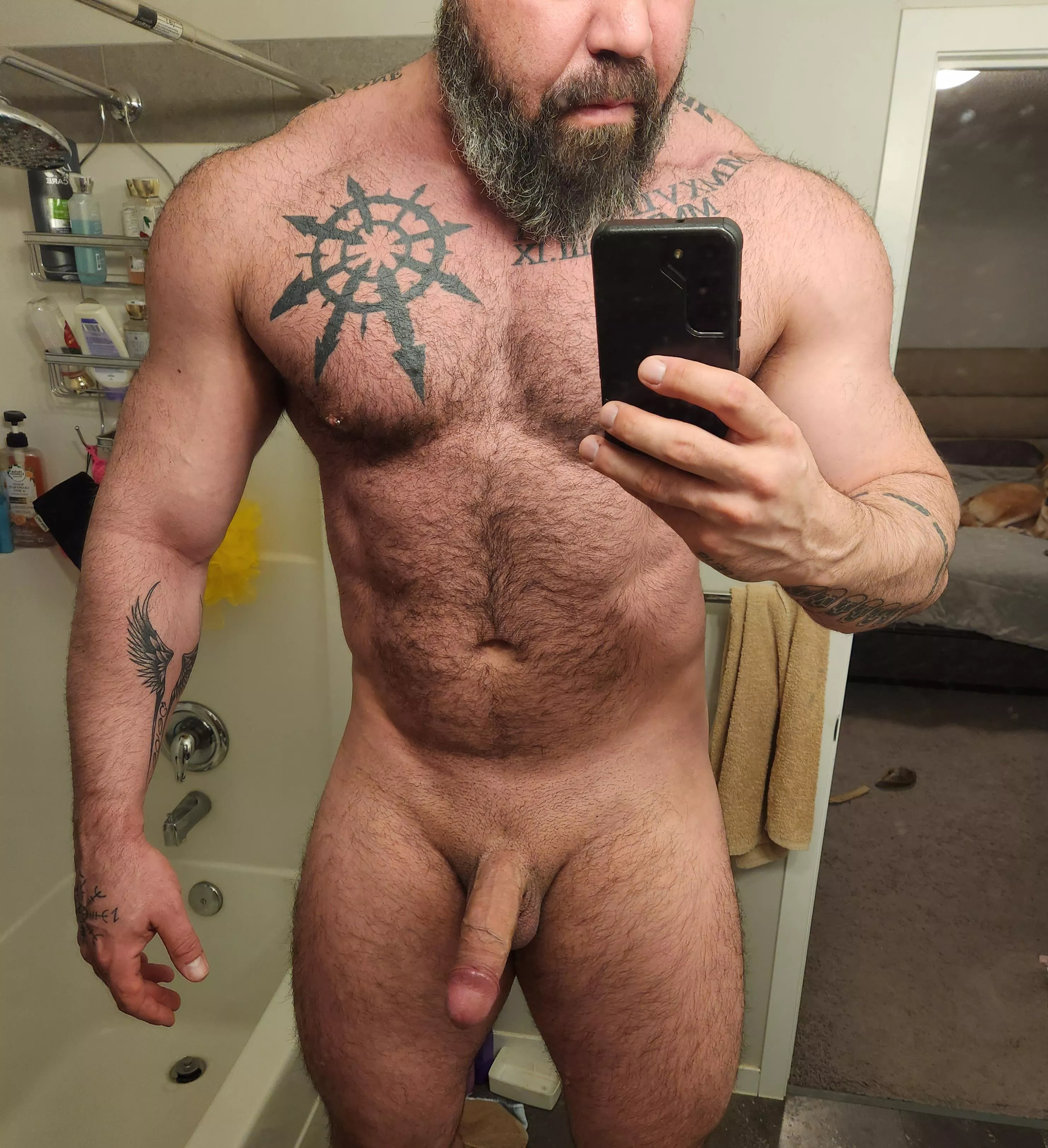 do you prefer the boner or beard?