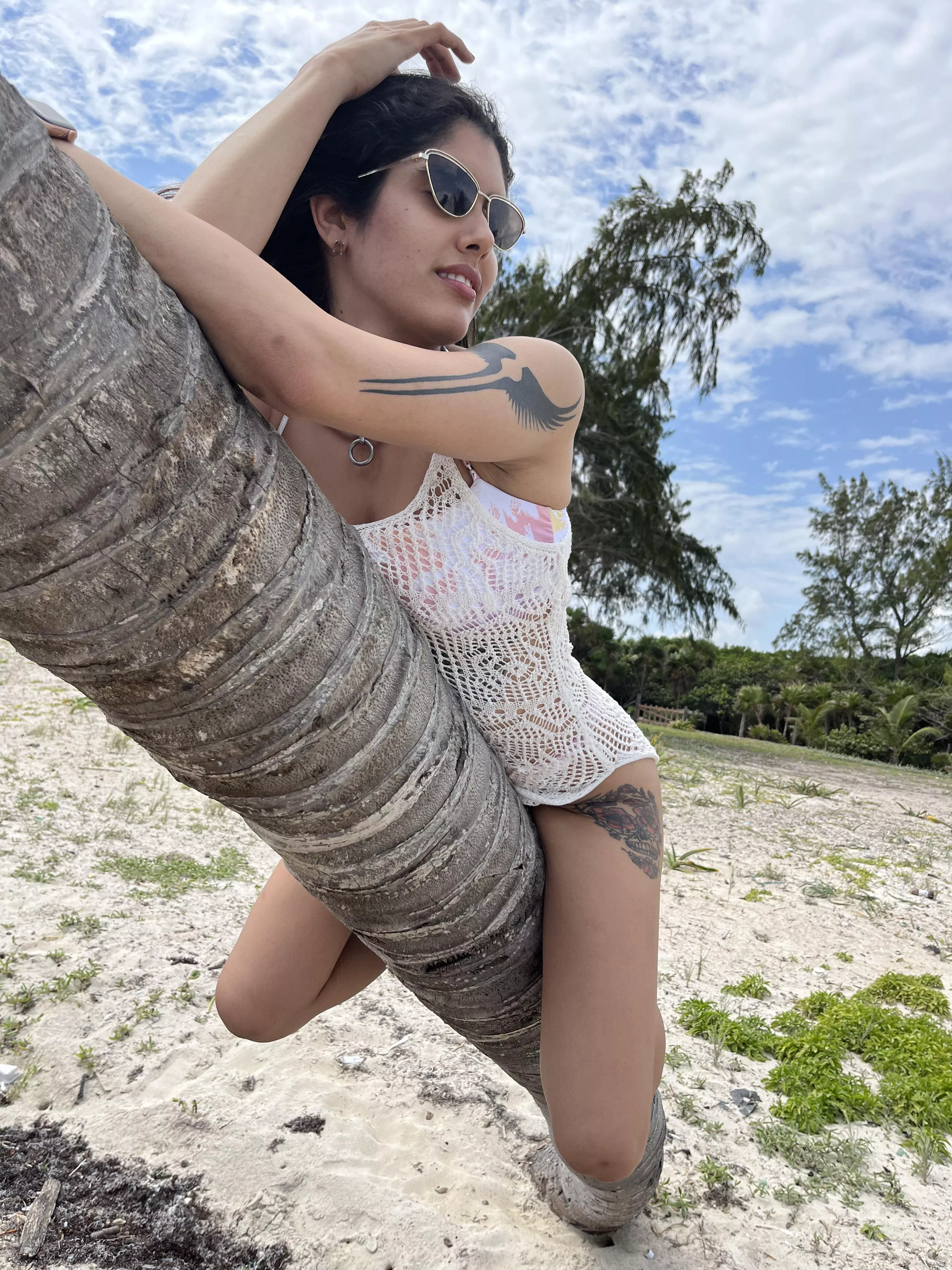 Found a palm tree while walking at the beach.