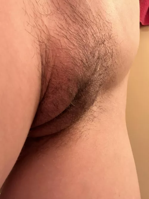 Good night from my pussy Chan