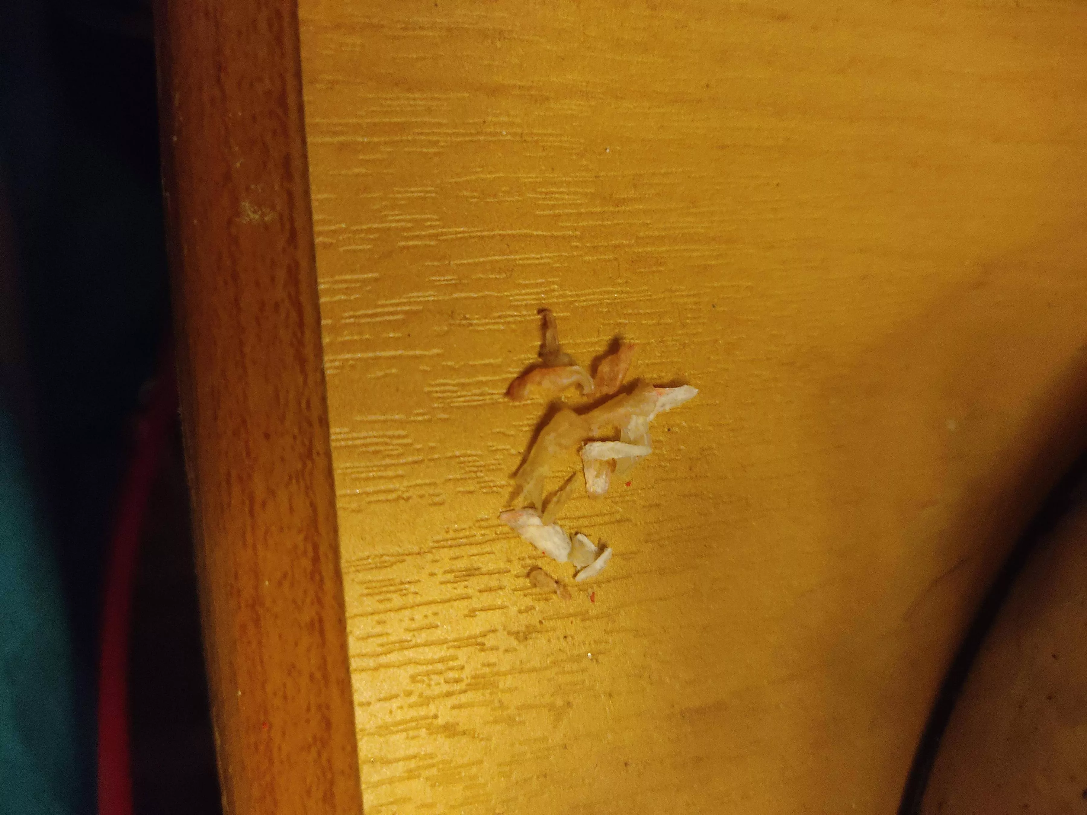 Got all this from a toenail ingrown on both sides ('operated' myself at home)