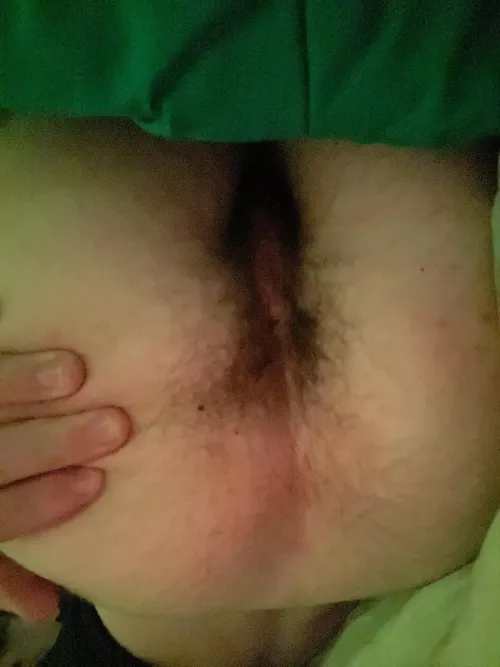 Id hate to get rid of the bush down here, thoughts?