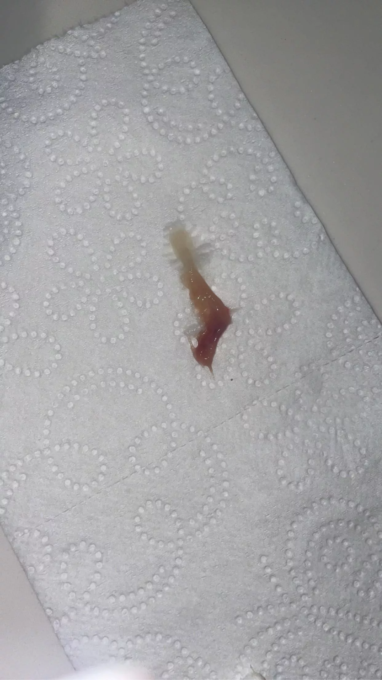 I'm sick, and felt something in my throat, so I pulled this thing out! I felt so much better afterwards. It's the size of a large paper clip irl. ***it's a clump of mucous from my sinuses that drained into my throat! NSFW because i think there is bloo
