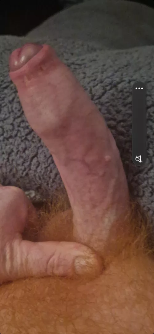 is this a good ginger cock?
