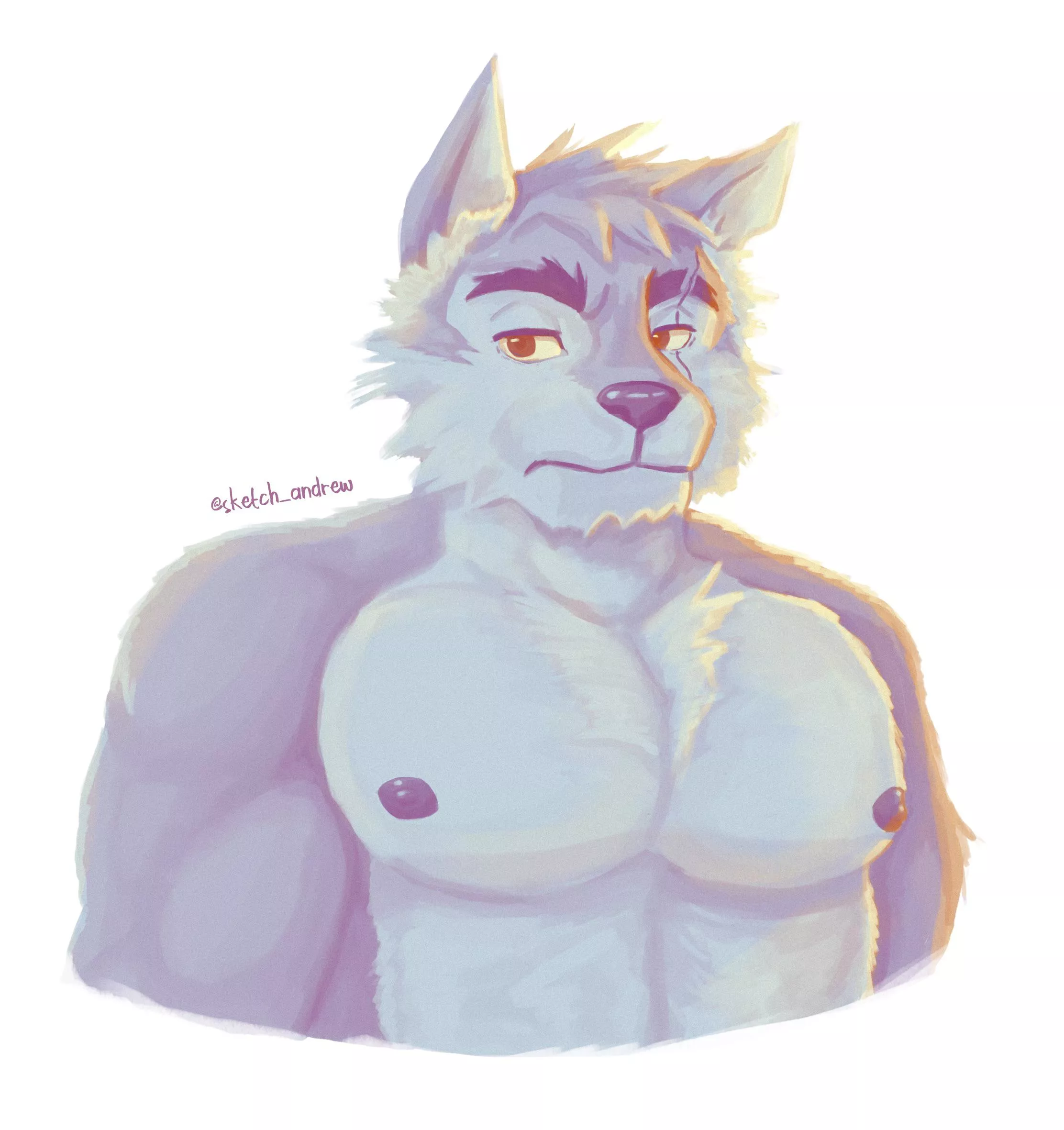 Meet Chief, the cold and brute wolf (drawing by me)