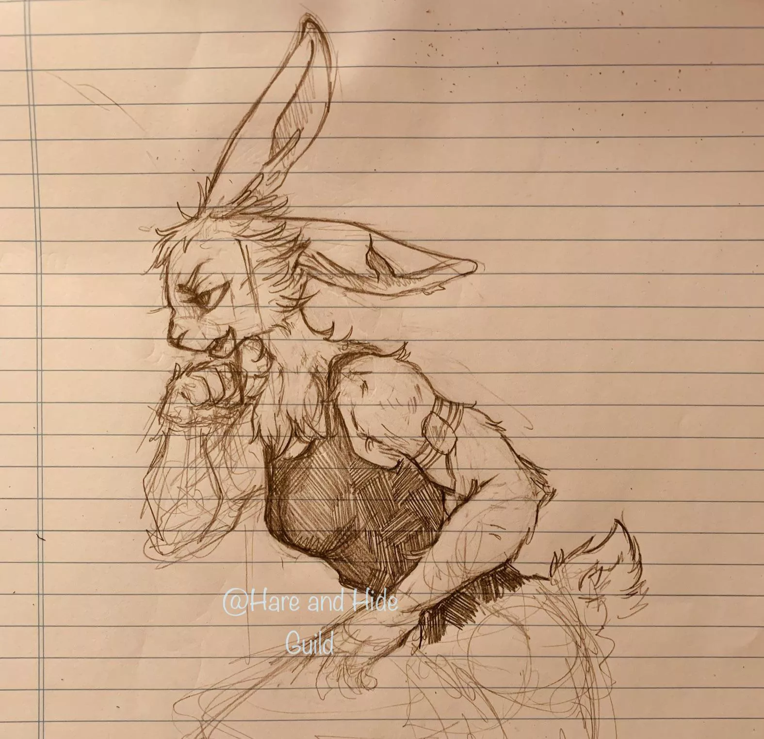 More tough rabbet. 🥊