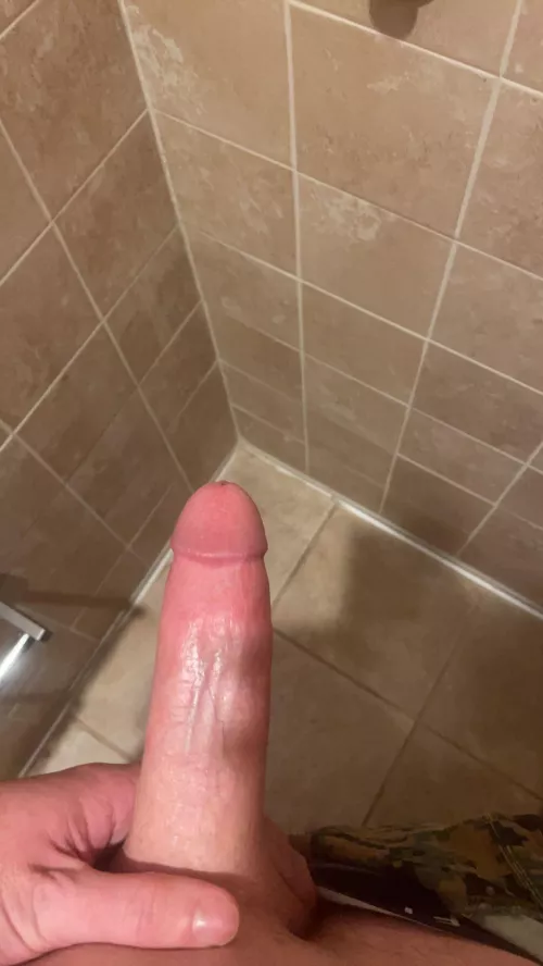 Quick bathroom penis pic