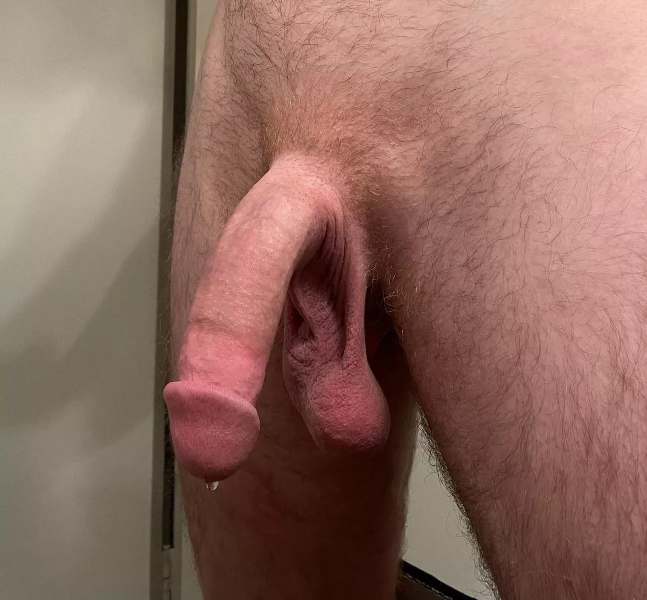 softie precum