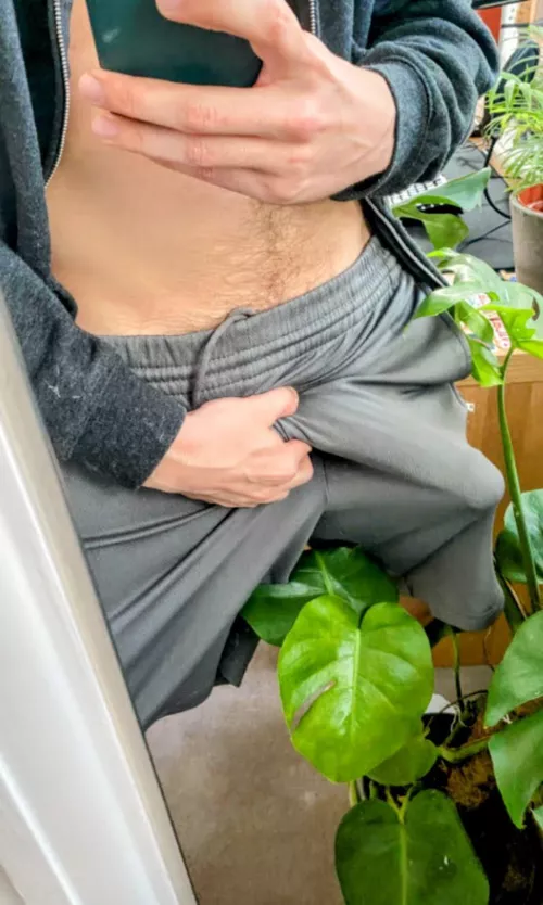 Who's gonna unbox this package