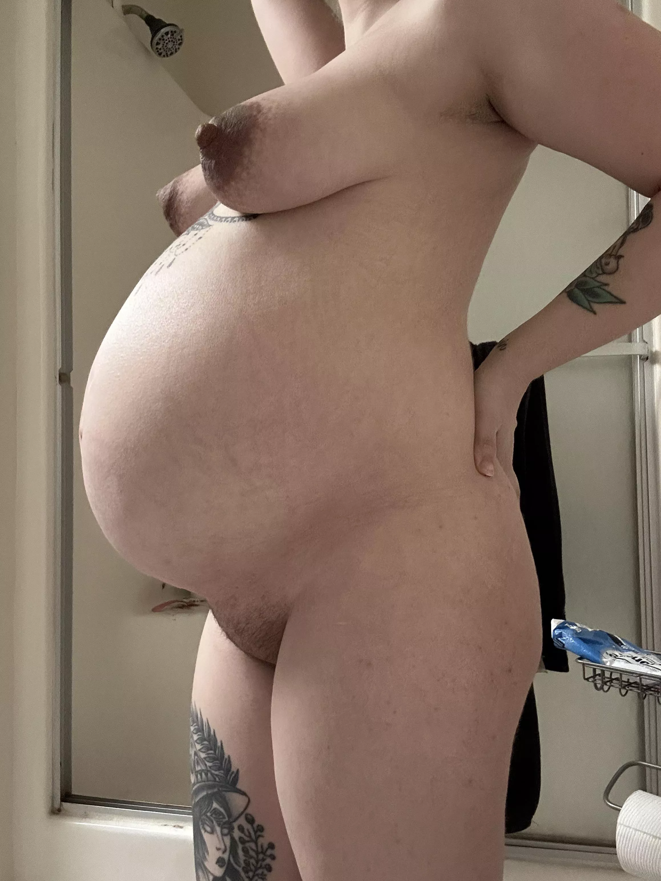 2 more weeks.. i can’t wait to start breeding again 🙈