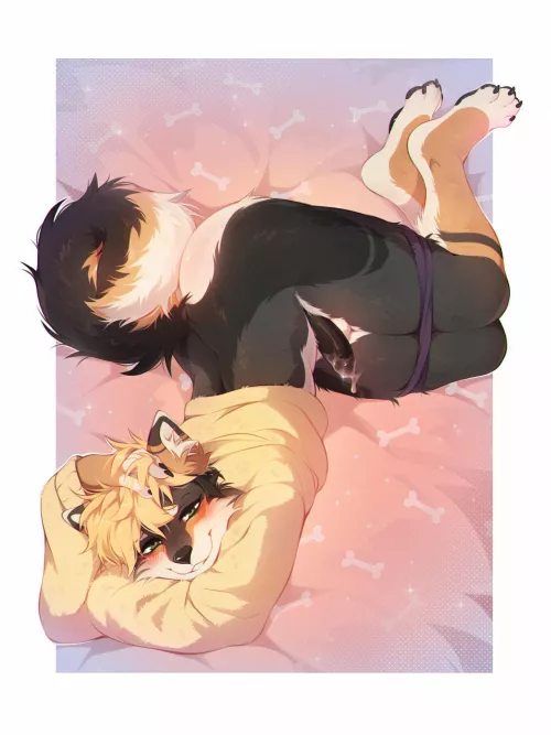 Cute Shiba Boy (fumiko)