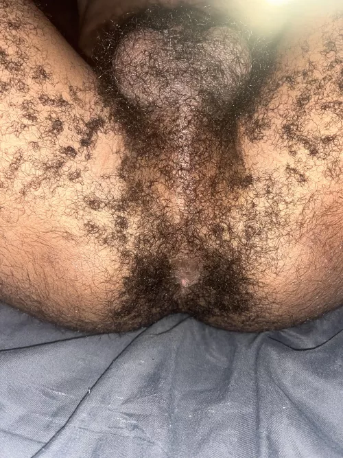 Fuck my hairy ass