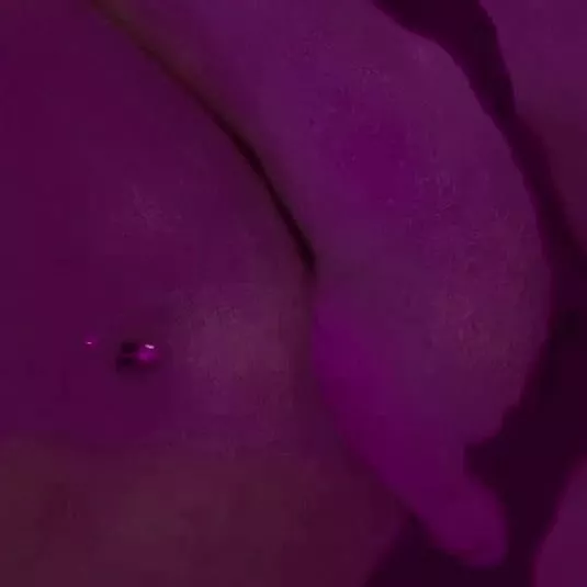 help me with this, please 👅💦