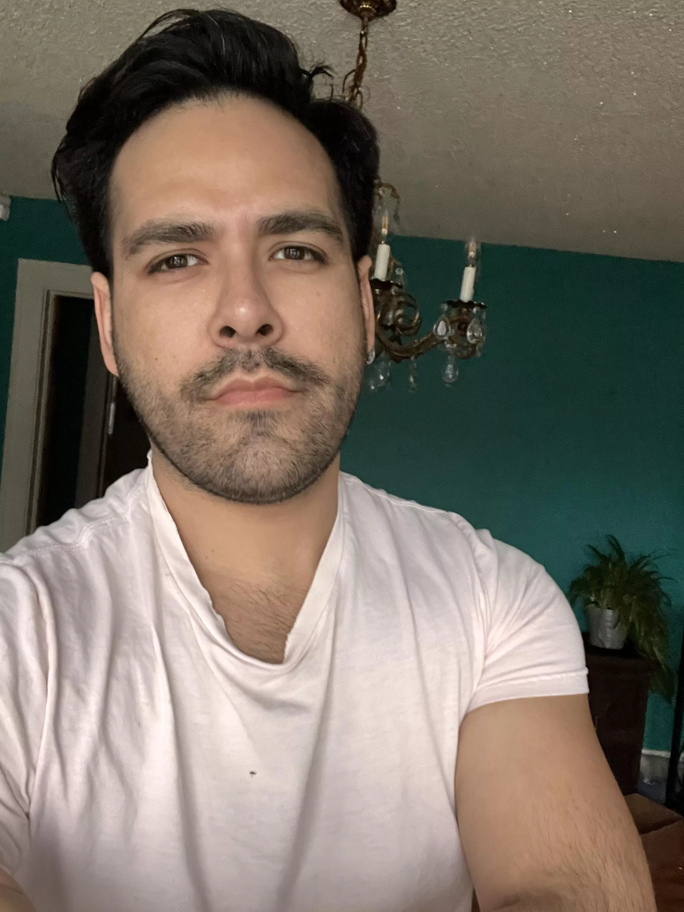 Lazy Sunday , in the mood to cuddle . Lazy Sunday , in the mood to cuddle .