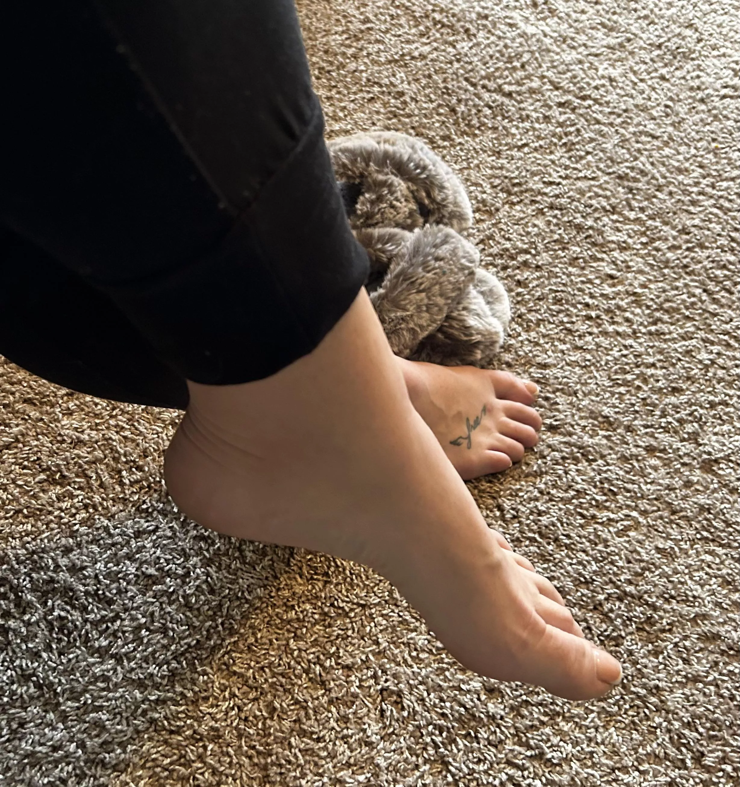 Press my arches against your cheek…