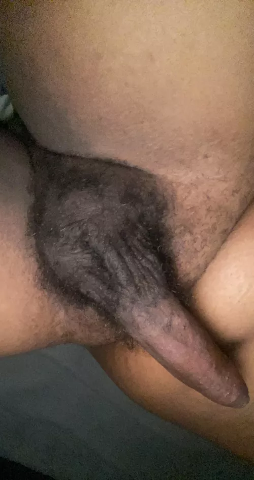Send me hole pics. Spread those asses for this chubby black bull 😈