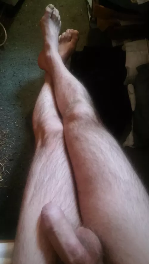 Tie my ankles & hoist me up