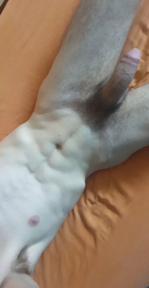 23 sending dickpics to everyone, screenshot and share, snap Wefrisu0202