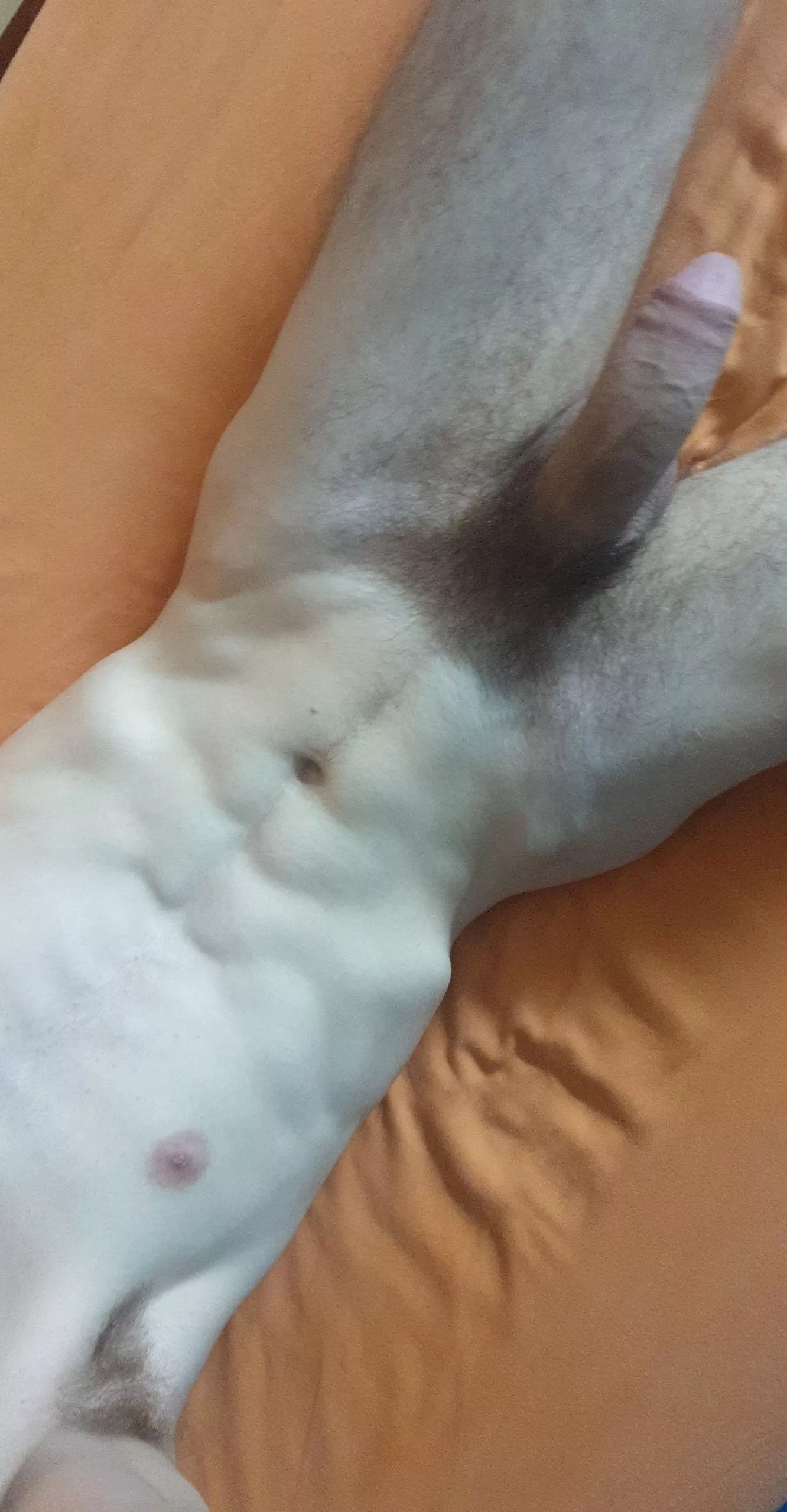 23 sending dickpics to everyone, screenshot and share, snap Wefrisu0202