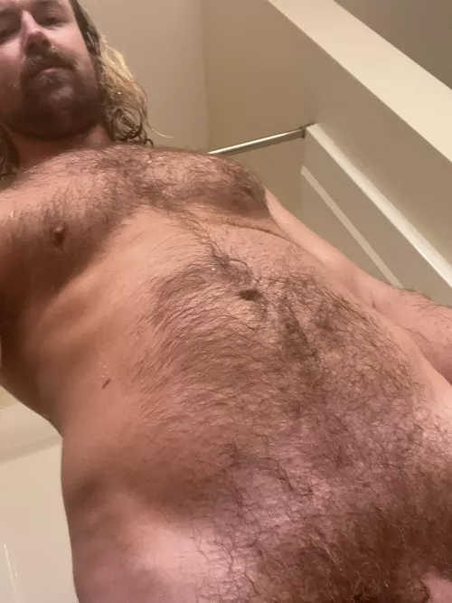 A furry Irish/Scottish otter