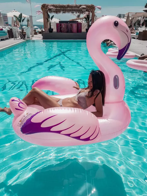 bright pink flamingo