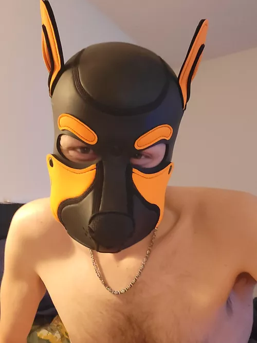 excited to finally have my first hood! ^w^