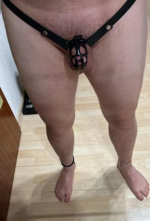 GF suggests to go even smaller and maybe change the color to pink. What do you think?