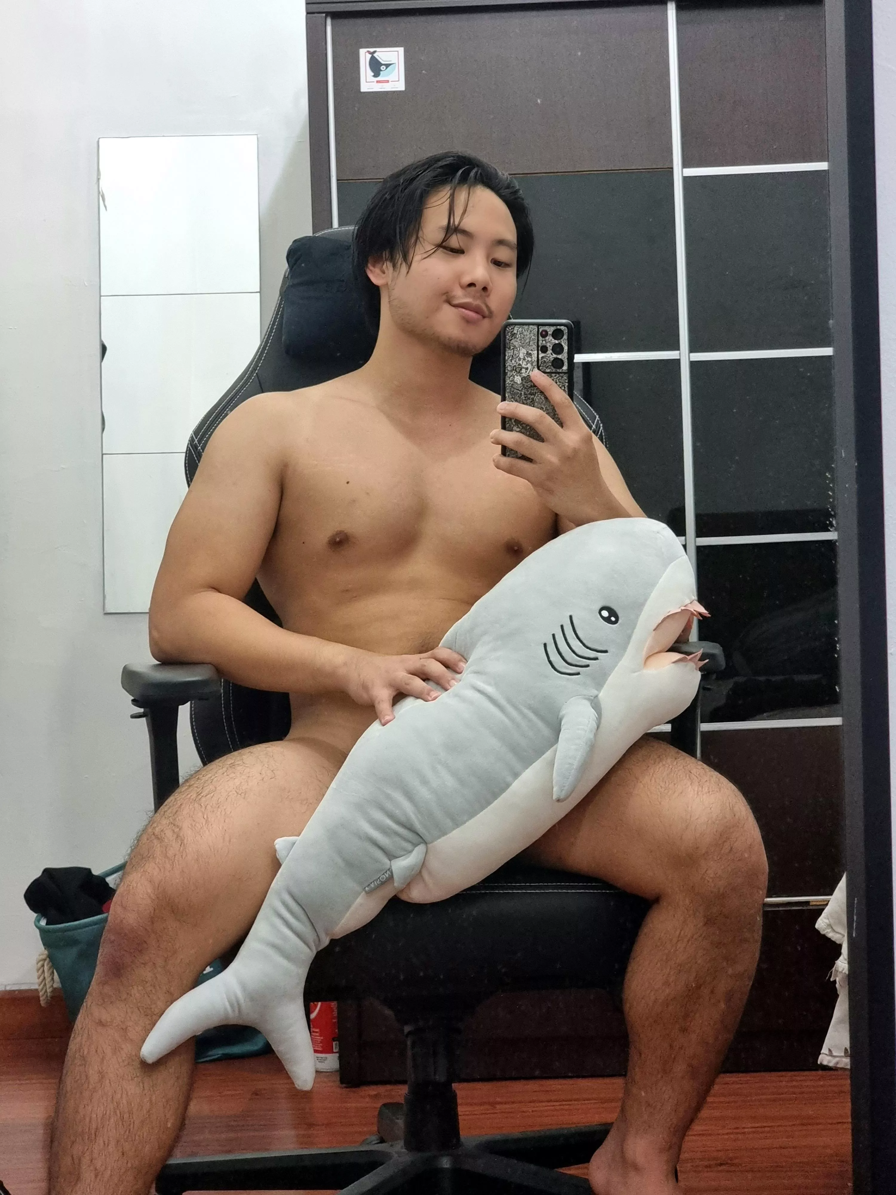 Have I ever introduced you to my pet shark?