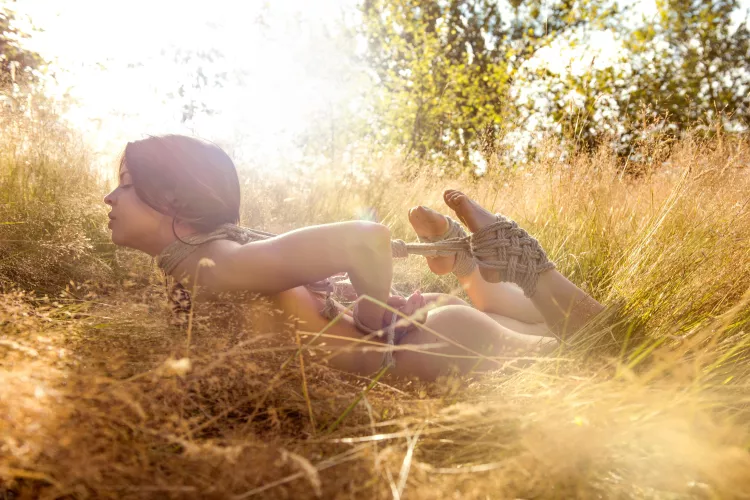 Hogtied in the grass - by Dark Arts