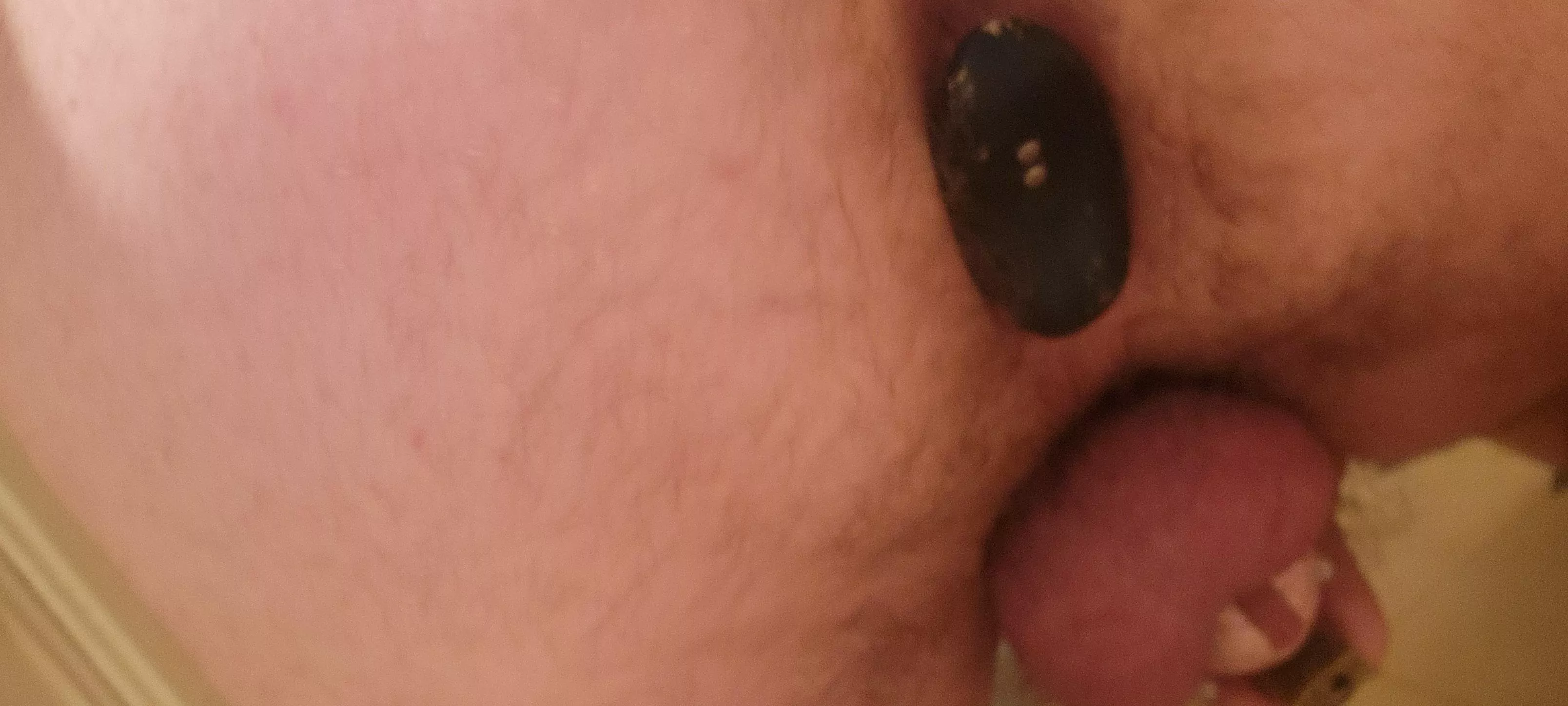 Last night I was disappointed that nobody played with my Hush 2 as I was sleeping with my cage on