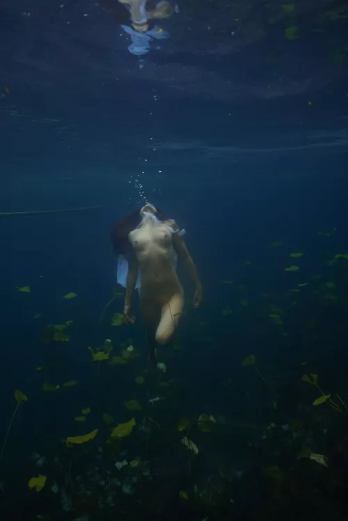 Let me be with the plants