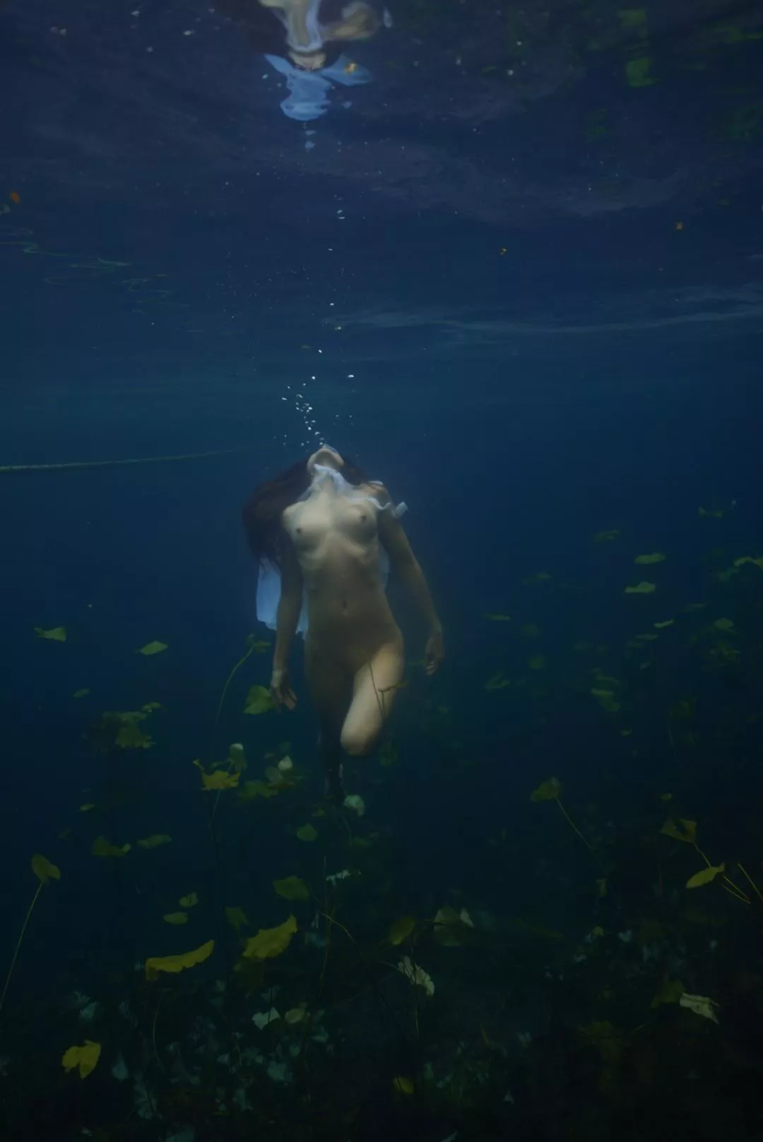 Let me be with the plants