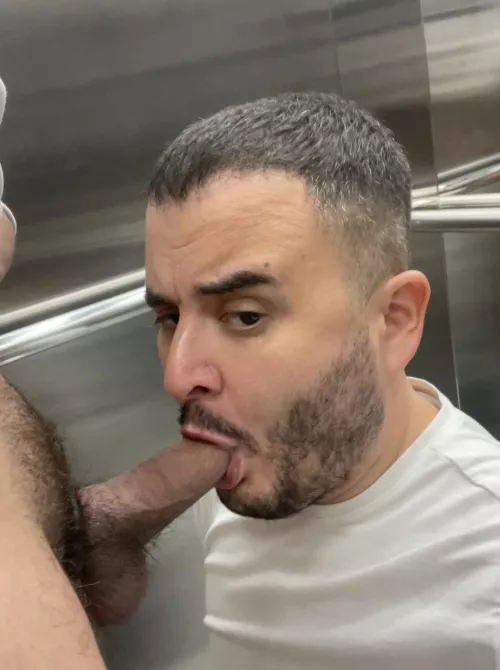 My building’s elevator has never been put to such good use