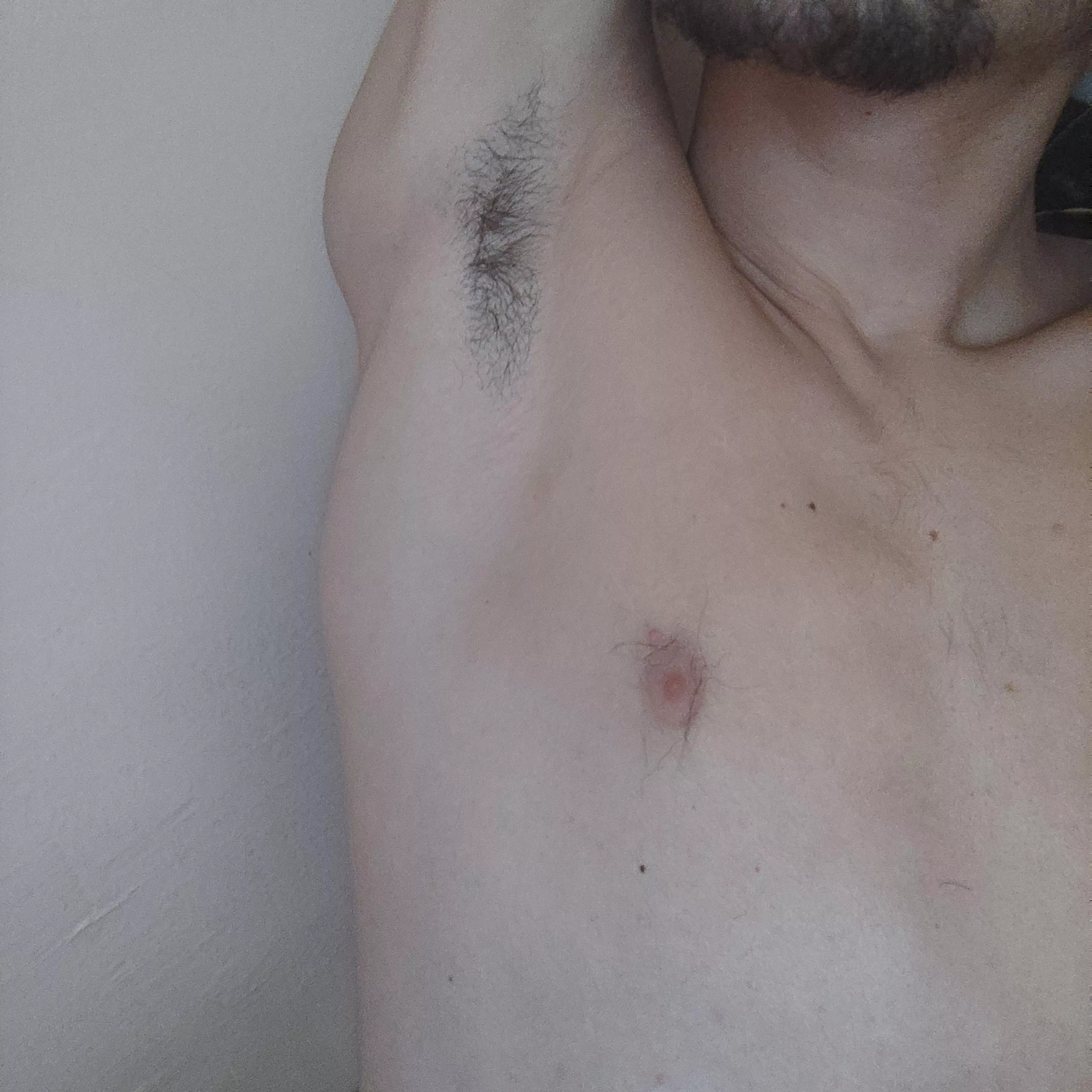 new here , should i let it grow ?