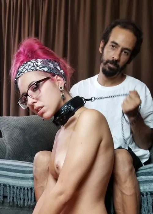 Owned amd Collared [m] [f]