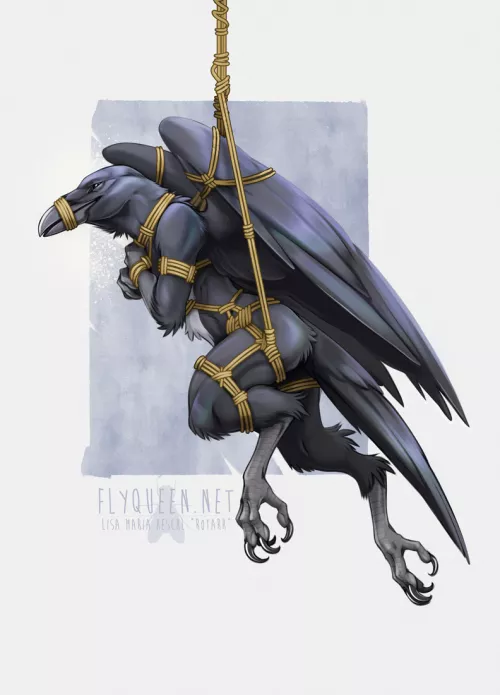 Shibari Raven [Rotarr]